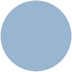 Interior Color