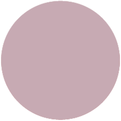 Interior Color